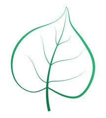 One green leaf isolated. Vector silhouette.