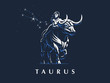 Sign of the zodiac Taurus. Bull.  Vector illustration.