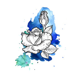 Wall Mural - A bright blue formless watercolor blot.  Rose ink flower line graphic