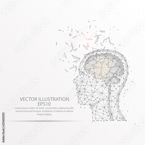 Cuadros en Lienzo Brain with human head low poly wire frame on white background.