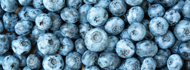 Fresh blueberry background. Blueberries texture close up