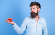 Man strict face with beard offers organic treats.Hipster bearded holds strawberries and apple on palm. Man offers to try strawberries and apple fruit treats blue background. I have treats for you