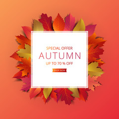 Wall Mural - Autumn sale banner layout template decorate with maple and realistic leaves in warm color tone for shopping sale or promotion poster, leaflet and web banner. Vector illustration .