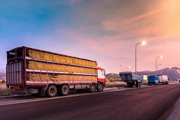 Pig transport truck