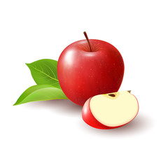 Wall Mural - Isolated realistic colored red apple slice and whole juicy fruit with green leaves and shadow on white background.