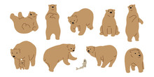 Bear Vector Polar Bear Icon Logo Cartoon Fish Salmon Illustration Character Doodle Brown