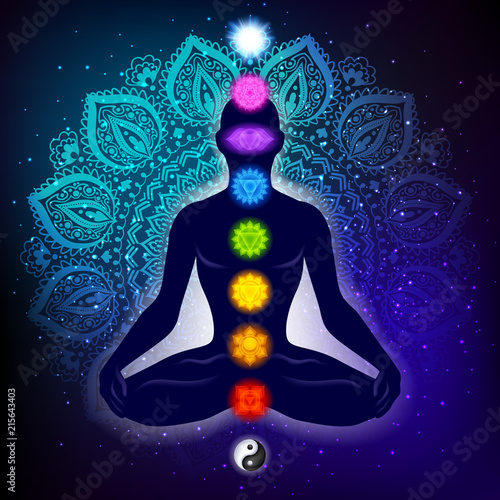 Meditating human in lotus pose. Yoga illustration. Canvas Print