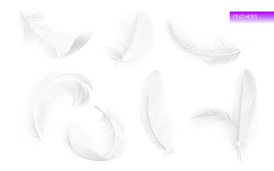 Wall Mural - set of isolated falling white fluffy twirled feathers on white background in realistic style. vector