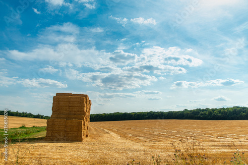 Fotografia, Obraz Paysage sur un champ de blé avec des ballots de paille empilés sur un ciel bleu
