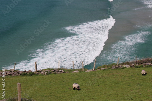 Fotografie, Obraz Irlande - Péninsule de Dingle - Vague Blanche à Slea Head