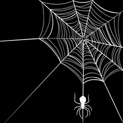 Wall Mural - Vector spider web and small spider on a white background.