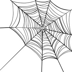 spider web on white background.