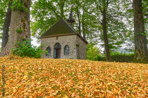 Fotografie, Obraz Ground covered by early fall of leaves and fruits of linden trees or lime trees standing at a small chapel during a heat and drought period in western Europe in the summer