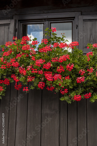 Natura E Architettura Gerani Rossi Sul Balcone Di Una Casa Di Legno Buy This Stock Photo And Explore Similar Images At Adobe Stock Adobe Stock