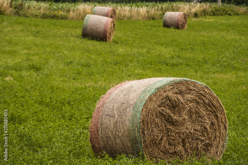 Quadro Covoni Di Fieno Di Van Gogh Falso D Autore 50x60cm Paesaggi