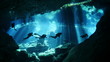 Diving in cenote