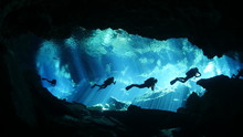 Diving In Cenote