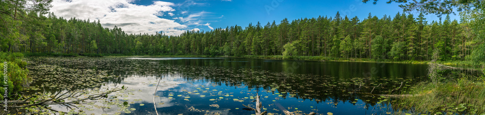 Panorama einer wunderschönen Seenlandschaft im schwedischen Smaland - obrazy, fototapety, plakaty 