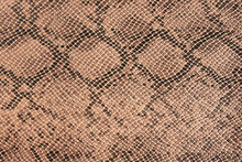 Fragment Of A Snake Leather As A Background Or Texture.