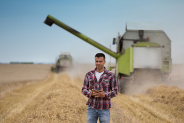 Wall Mural - Farmer with tablet in field during harvest