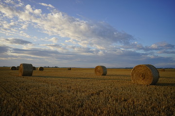 Wall Mural - Paysage Campagne 328