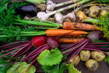 Harvest Of Fresh Organic Vegetables