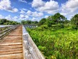 wooden path in swamp of Florida