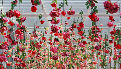 Wedding ceremony decoration with many artificial flower hanging from ceiling. Beautiful Upside down flowers.