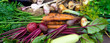 © Soho A studio - Harvest of Fresh organic vegetables