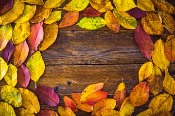 Wall Mural - Autumn leaves over wooden background