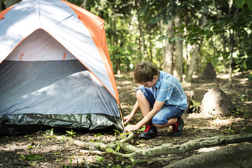 Wall Mural - Little boy camping in the forest