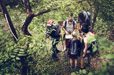 Wall Mural - Trekking together in a forest