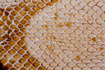 Wall Mural - snake skin - texture close up in the detail