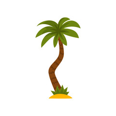 Sticker - Palm tree, tropical evergreen plant vector Illustration on a white background