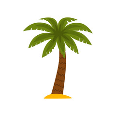 Sticker - Palm tree, tropical plant vector Illustration on a white background