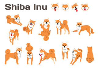 shiba inu,dog in action,happy dog