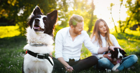 Wall Mural - Couple playing with dogs