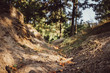 © Jonathan Schöps - Ausgetrockneter Bach im Wald durch sommerliche Hitzeperiode