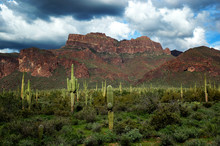 Arizona Desert Superstition Mountains With Cacti And Clouds