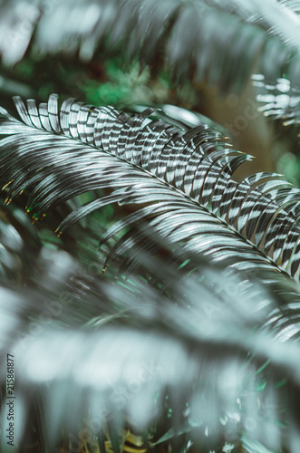 Fototeppich - Nature poster. Green palm branch. Closeup. Tropical vibes (von Marina Vilesova)