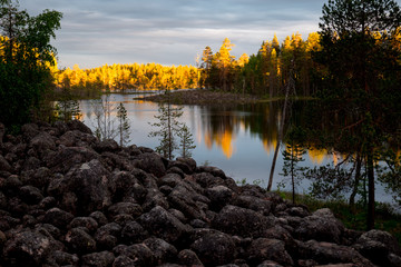 Wall Mural - Forest and pond view