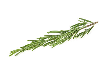 Rosemary isolated on a white background