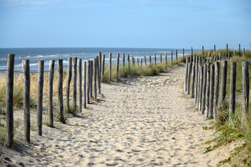 Canvas Print - Weg am Meer