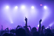 © Robert Kohlhuber/Stocksy - Sillhouettes of concert crowd in front of bright stage lights