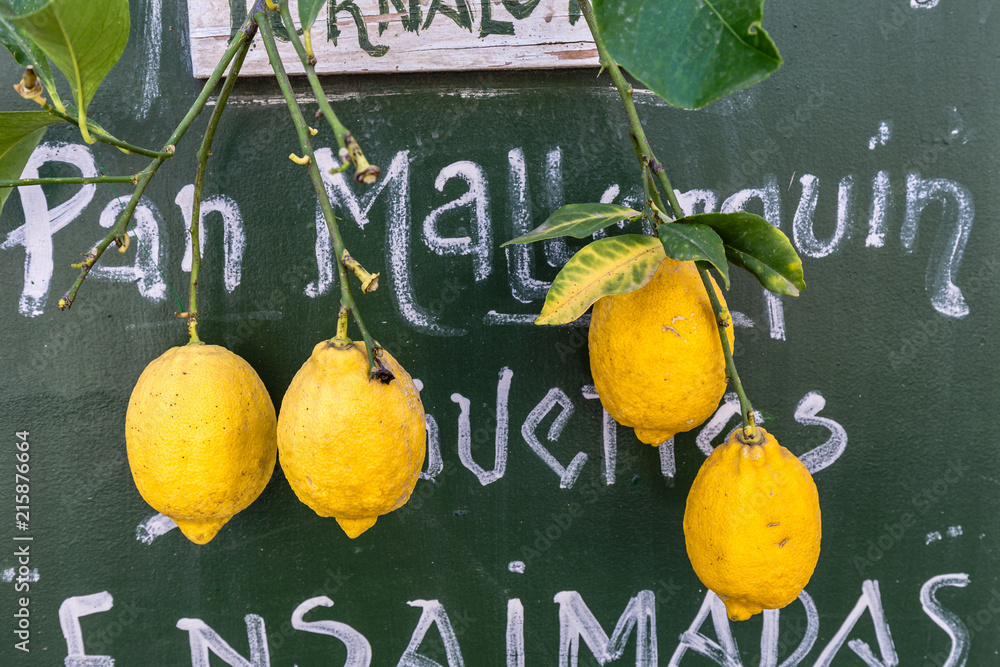 Mallorquinische Zitronen in Fornatlux in Mallorca mit Kreidetafel