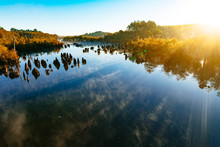 West Arm Creek, Dead Lakes Recreation Area, Wewahitchka, Florida