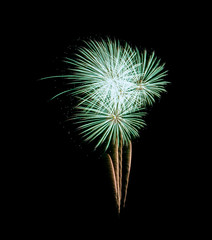 Green fireworks explosion on night sky