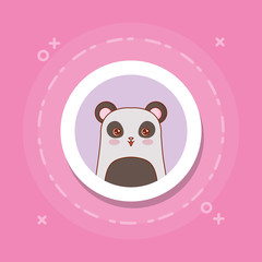  cute panda bear icon over pink  white circle and background, colorful design. vector illustration