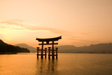 Fototapeta  - Sunset with Red Torii gate on the river of Itsukushima shrine, Miyajima Island, Japan