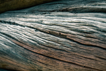 twisted wooden structure